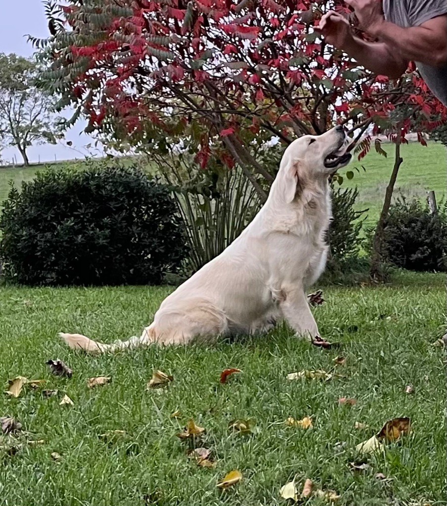 Poupette (Sans Affixe)