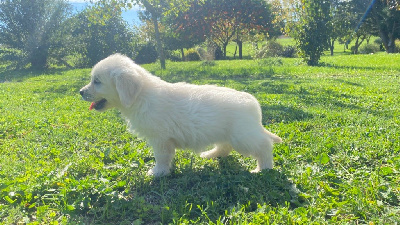 ARIBO