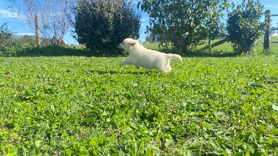 ACKER